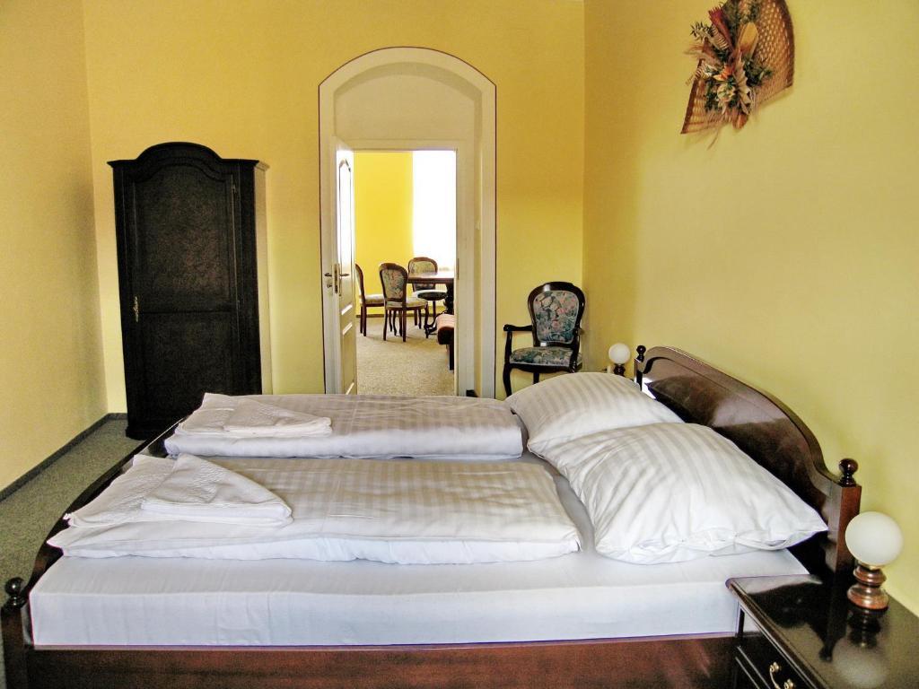 Hotel U Salzmannu Plzeň Værelse billede